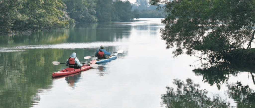 Symphony Suites - Hear the pitter-patter of nature